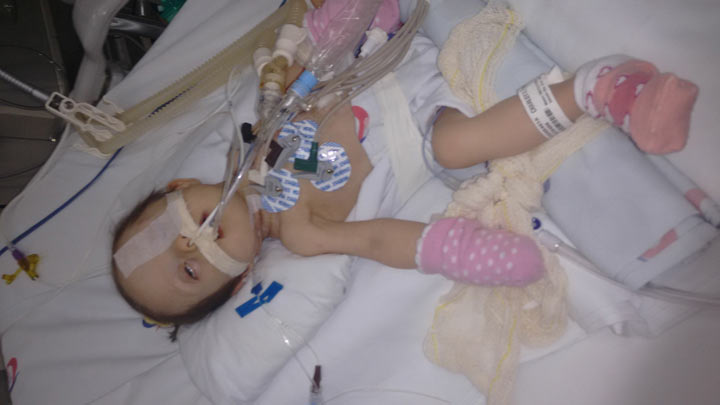 Charlotte<br />
- Cirurgia do coração Nov. 2016.