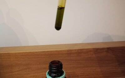 Cannabis no tratamento da dependência do álcool